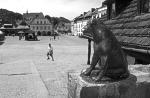 kazimierz 06.05
